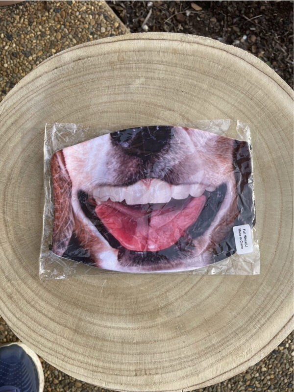 Dog with Teeth Mask P/M
